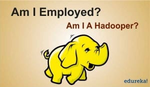 hadoop-300x175.jpg