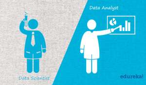 data-science-analyst-300x175.png