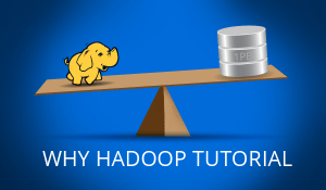 Hadoop-tutorial-300x175.png