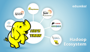 Hadoop-Ecosystem-300x175.png