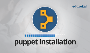 Install-Puppet-Edureka-300x176.png