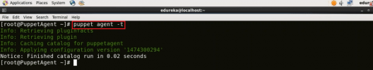 Install Puppet | Install Puppet In Four Simple Steps | Edureka
