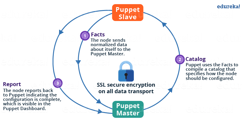 Puppet Master Slave Architecture - Puppet Interview Questions - Edureka