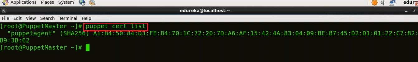 Puppet certificates - Install Puppet - Edureka