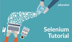 Selenium-Tutorial-01-300x175.png