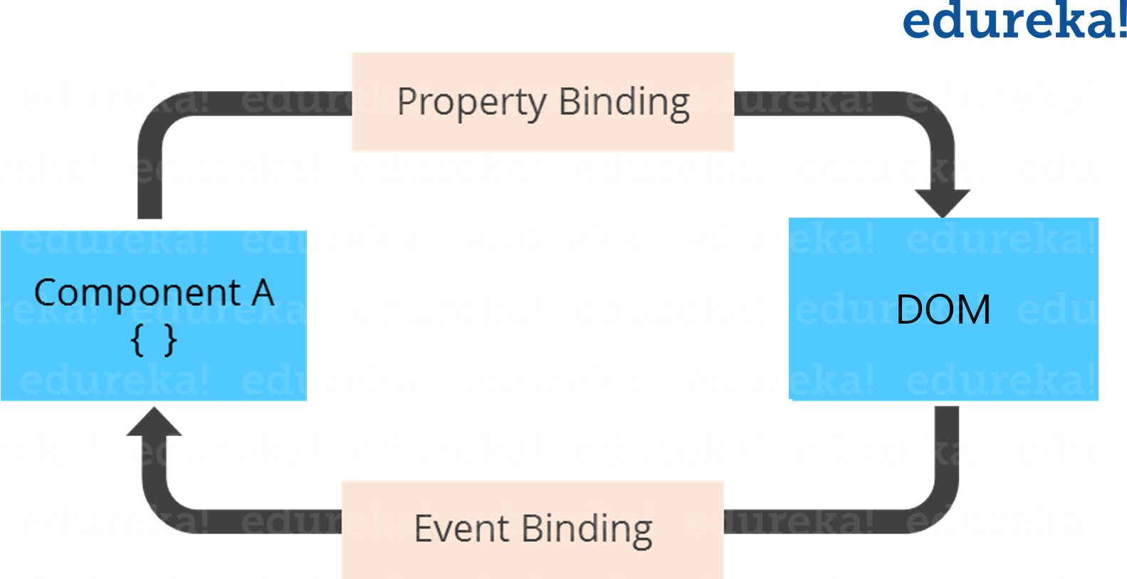 Data Binding - Angular Tutorial - Edureka