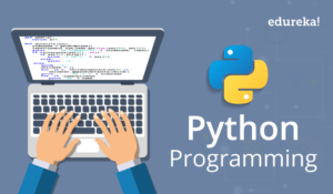 Python-Programming-Edureka-300x175.png