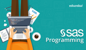 SAS-Programming_01-300x175.png