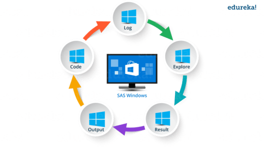 SAS Programming | Basics of SAS Programming Language | Edureka