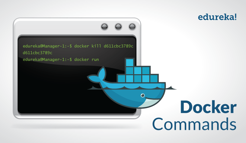 Docker commands. Docker Kill.