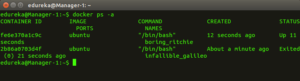 Docker Commands Tutorial | Top 15 Docker Commands | Edureka