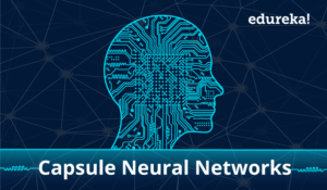 Capsule-Networks-Edureka-300x175.png