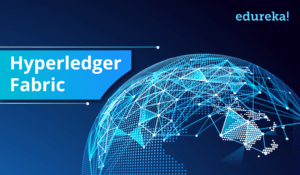 hyperledger-fabric-edureka-300x175.png