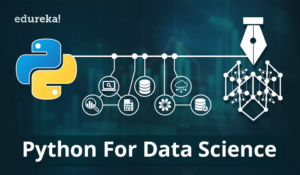 Pyhton-for-data-science-0-300x175.png