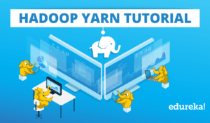 HADOOP-YARN-TUTORIAL-300x175.png