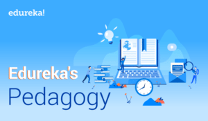 Edurekas-Pedagogy-300x175.png
