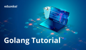 Golang-Tutorial-300x175.jpg