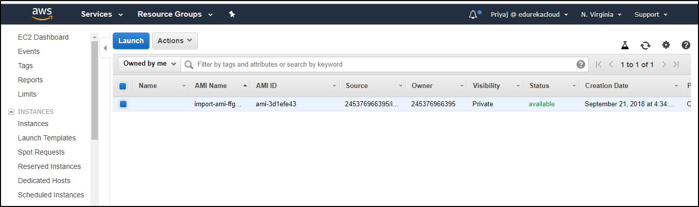 Final Screen Showing The Created AMI - Aws Migration - Edureka