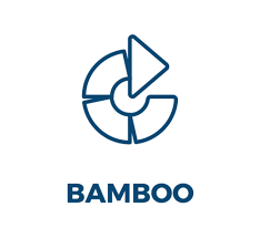 bamboo