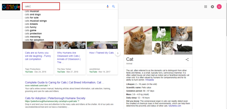 Top 10 Data Science Applications with Examples and Use Cases