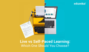 Online-Learning-vs-Self-Paced-300x175.jpg