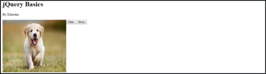 jQuery效果-hide()输出-jQuery教程