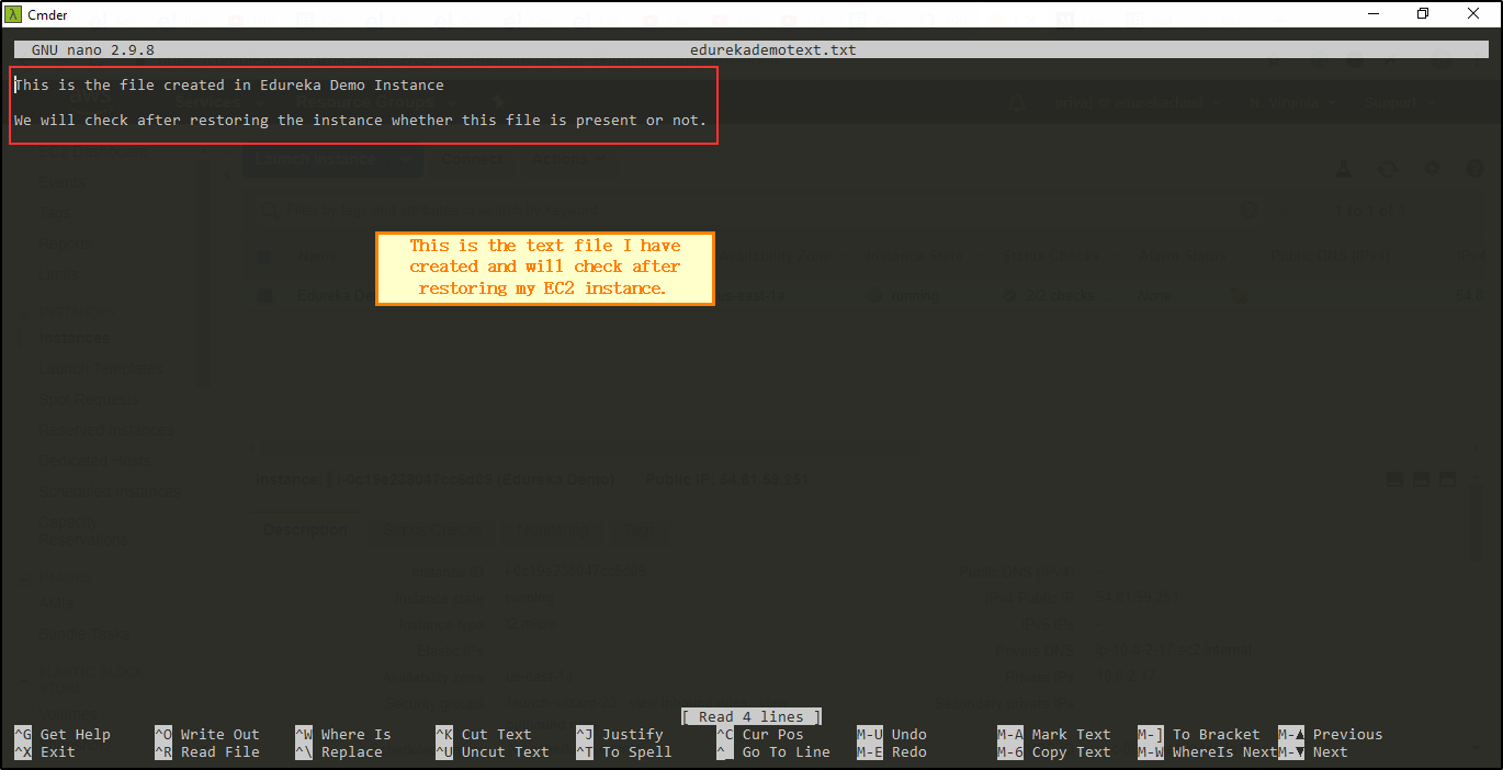 File in EC2 instance-How To Restore EC2 From Snapshot-Edureka