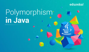 Polymorphism-in-java-4-300x175.jpg