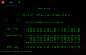Ethical Hacking with Kali Linux: With Beginner & Advanced Techniques