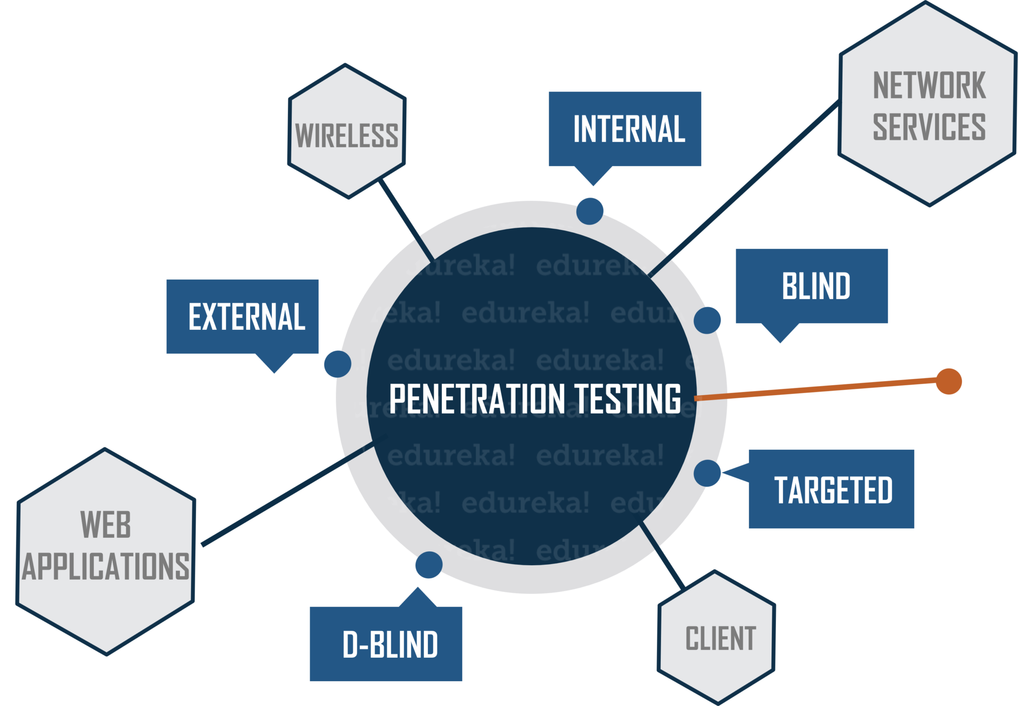 penetration testing with kali linux | LaptrinhX