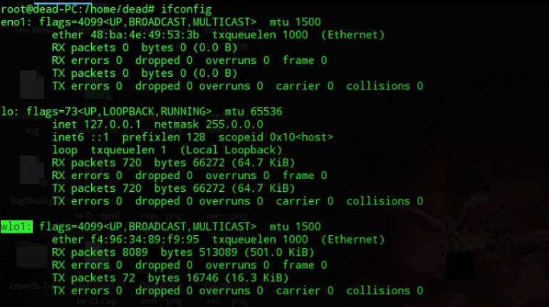 ips to test ddos