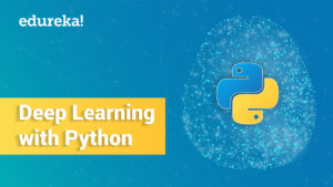 Deep-Learning-with-Python-300x169.jpg