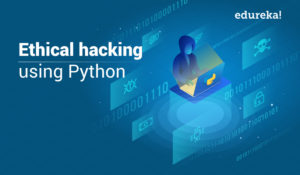 Ethical Hacking with Kali Linux: With Beginner & Advanced Techniques
