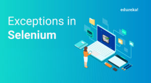 Selenium-Exceptions-300x165.jpg