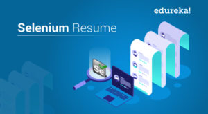 Selenium-Resume_Blog-300x165.jpg