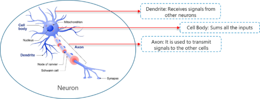 Artificial Intelligence With Python | Build AI Models Using Python ...