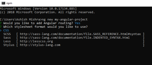 install angular