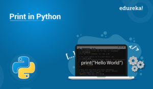 Print-in-Python-300x175.jpg