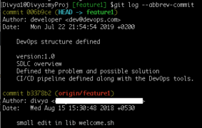 Git log format history | Use Git log to format the commit history | Edureka