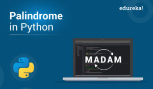 Palindrome-in-Python-300x175.jpg