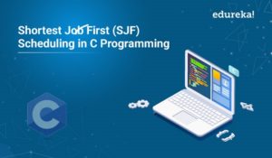 Top 10 Programming Languages To Learn In 21 Edureka