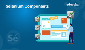 selenium-component-1-300x175.jpg