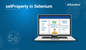 set-property-in-selenium-300x175.jpg