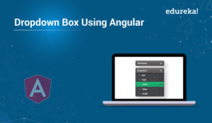 Creating-a-Dropdown-Box-Using-Angular-300x175.jpg
