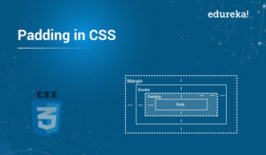Padding-in-CSS-1-300x175.jpg