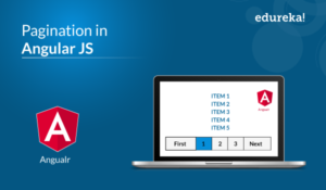 Pagination-in-Angular-JS-300x175.png