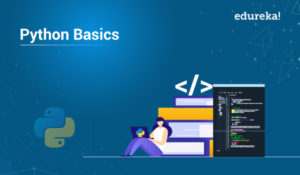 Python-Basics-300x175.jpg