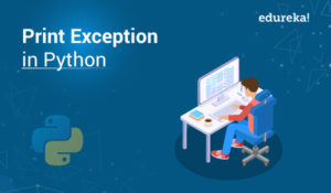 print-exception-in-python-2-1-300x175.jpg