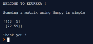 Output - Matrix In Python - Edureka