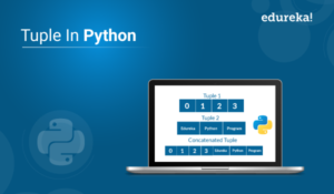 tuple-in-python-300x175.png